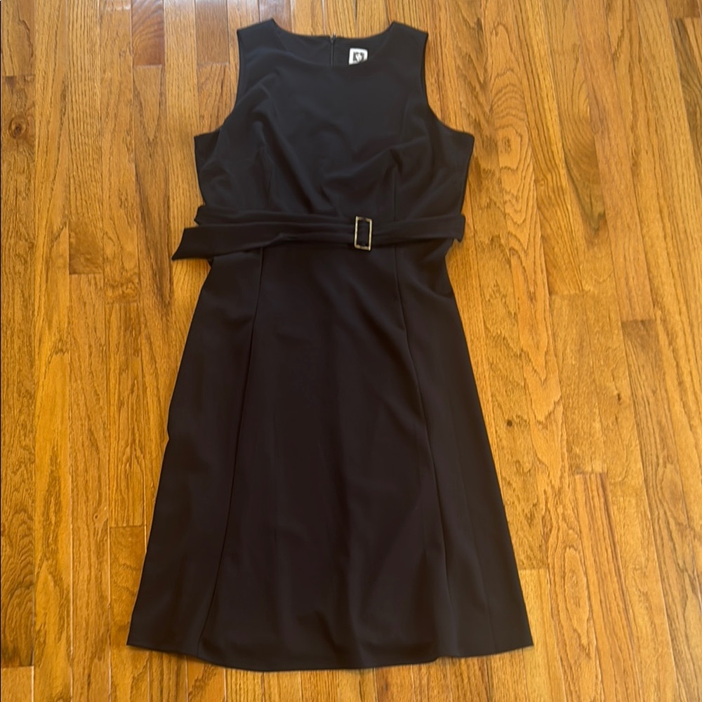 Anne Klein dress